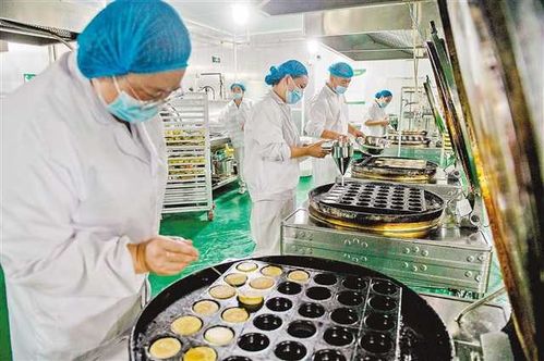 沙坪壩食品中央工廠 科技賦能，為5000名老人定制營養膳食